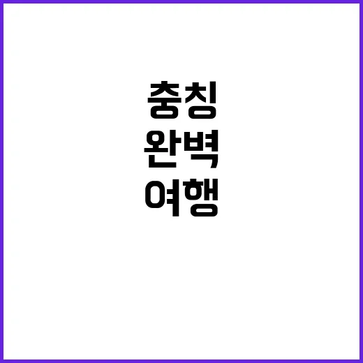 충칭 여행을 완벽하…