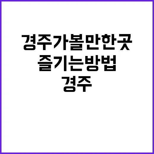 경주 가볼만한 곳을…