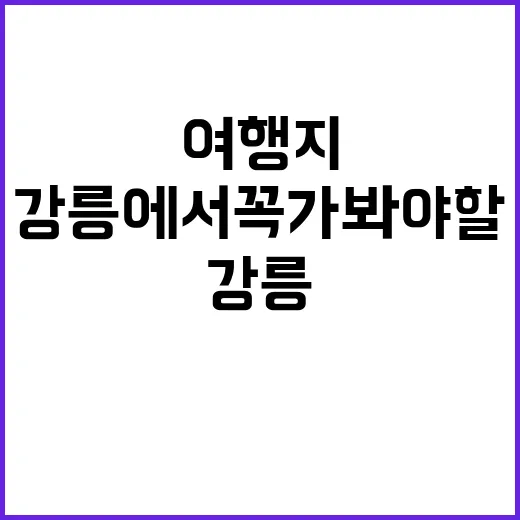 강릉에서 꼭 가봐야 할 여행지와 꿀팁 - 요약
