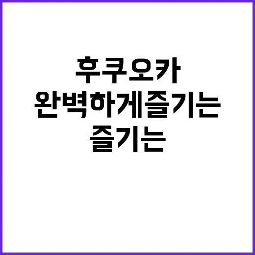 후쿠오카 쇼핑을 완벽하게 즐기는 방법 - 요약