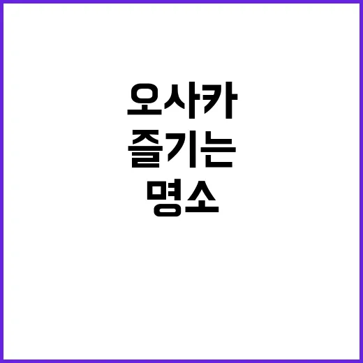 오사카에서 놓치지 말아야 할 명소를 즐기는 방법 - 요약
