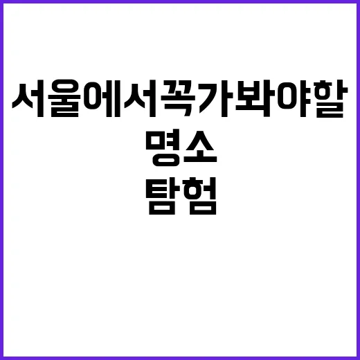 서울에서 꼭 가봐야 할 명소를 탐험하는 방법 - 요약