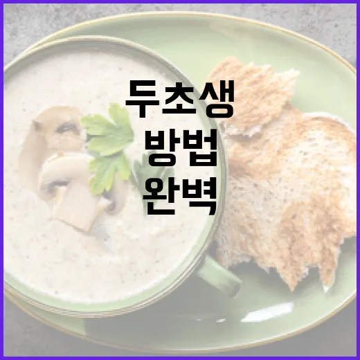 두초생을 위한 완벽한 여행 준비 방법 - 요약