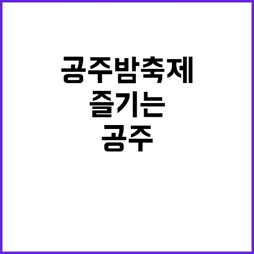 공주 밤축제를 즐기는 방법: 놓치지 말아야 할 포인트 - 요약