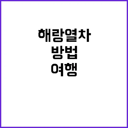 해랑열차로 한국을 여행하는 완벽한 방법 - 요약