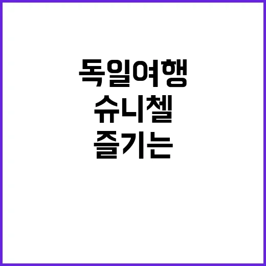 독일 여행 중 슈니첼을 제대로 즐기는 방법 - 요약
