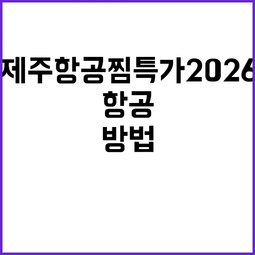 제주항공 찜특가 2026을 놓치지 않는 방법 - 요약