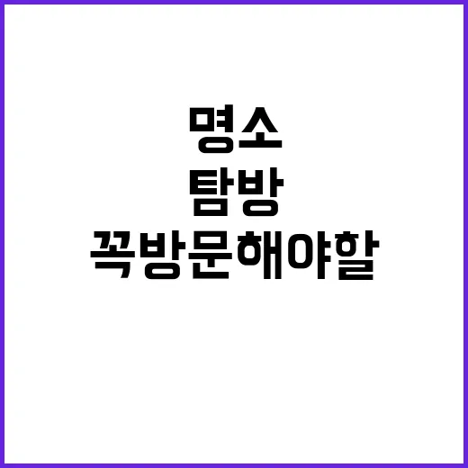 강릉에서 꼭 방문해야 할 명소를 탐방하는 방법 - 요약