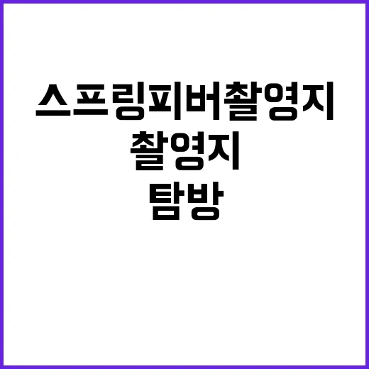 스프링피버 촬영지를 탐방하는 방법 - 요약