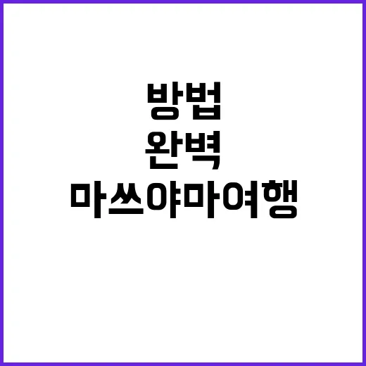 마쓰야마 여행을 완벽하게 준비하는 방법 - 요약