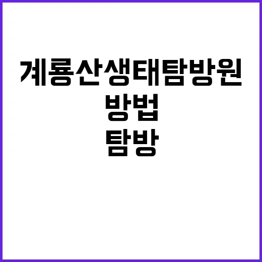 계룡산 생태탐방원을 제대로 탐방하는 방법 - 요약
