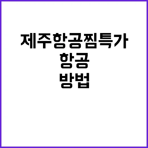 제주항공 찜특가를 최대한 활용하는 방법