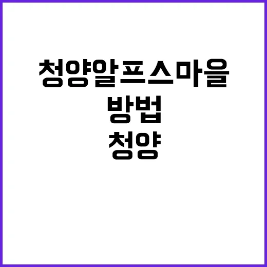 청양 알프스마을에서 잊지 못할 추억을 만드는 방법