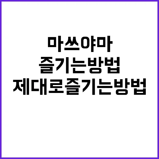 마쓰야마를 제대로 즐기는 방법