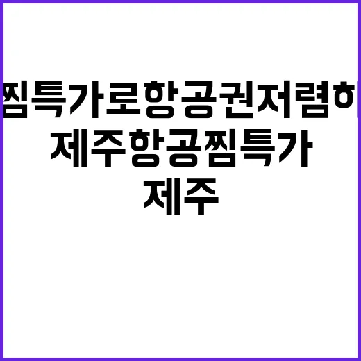 제주항공 찜특가로 항공권 저렴하게 예약하는 방법
