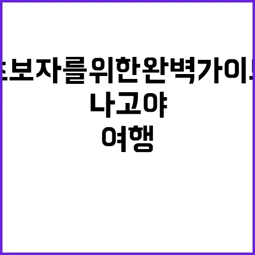 나고야 여행을 즐기는 방법: 초보자를 위한 완벽 가이드