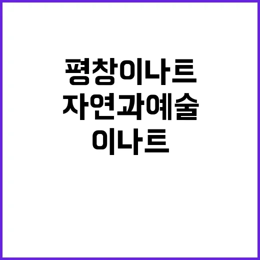 평창 이나트를 경험…