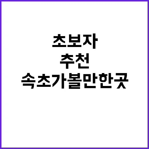 초보자를 위한 속초…