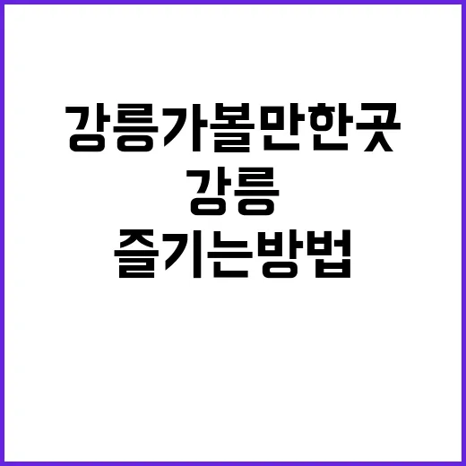 강릉 가볼만한 곳을…