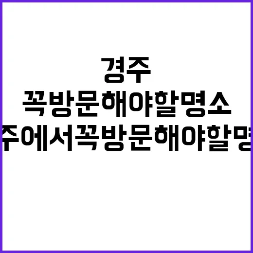 경주에서 꼭 방문해야 할 명소를 소개합니다