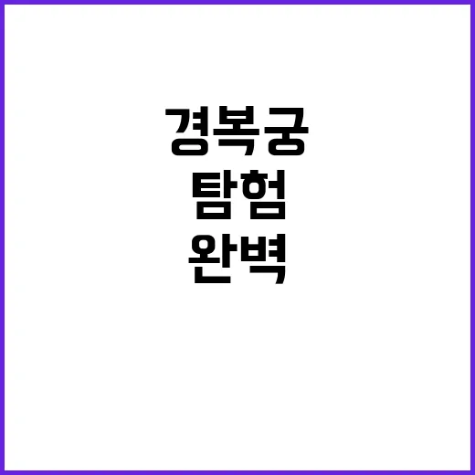 경복궁을 완벽하게 탐험하는 방법