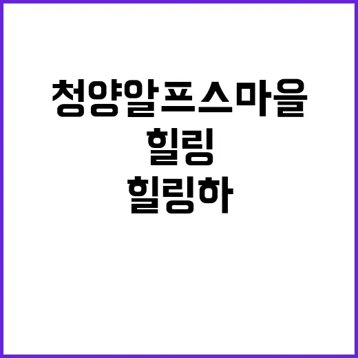 청양 알프스마을에서…