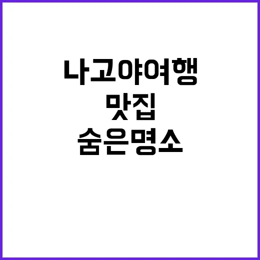 나고야 여행을 만끽하는 방법: 숨은 명소와 맛집 소개