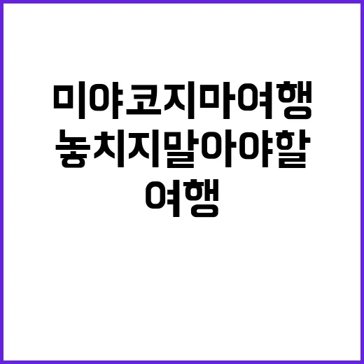 미야코지마 여행에서…