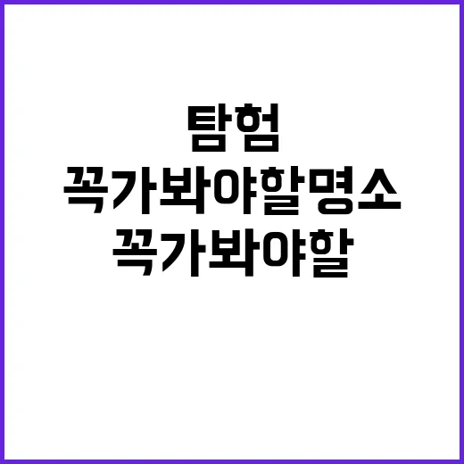 파주에서 꼭 가봐야…