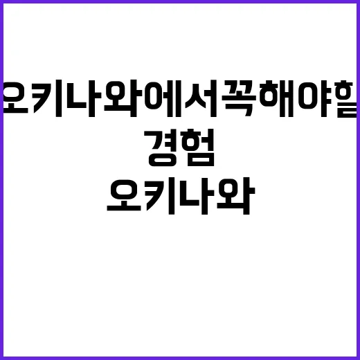 오키나와에서 꼭 해…