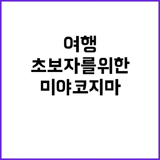 미야코지마를 완벽히 여행하는 방법: 초보자를 위한 가이드