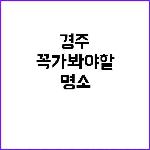 경주에서 꼭 가봐야…