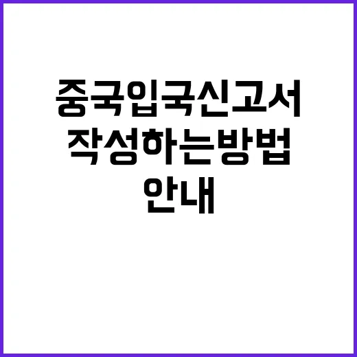 중국 입국신고서 작…
