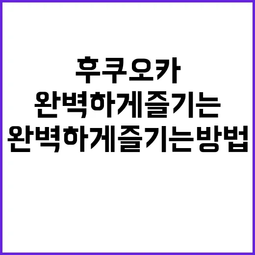 후쿠오카를 완벽하게…