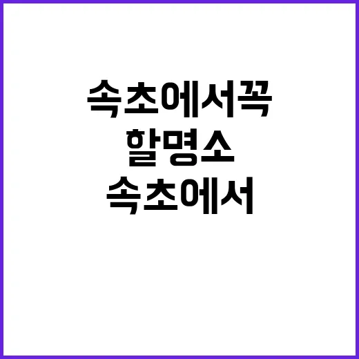 속초에서 꼭 방문해야 할 명소들