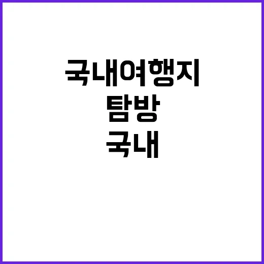 국내 여행지를 효과…