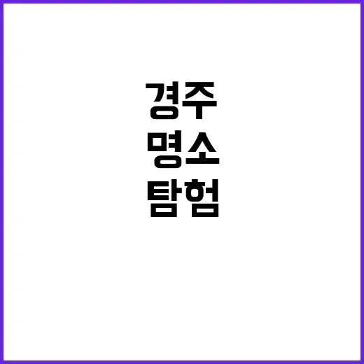 경주에서 꼭 방문해…