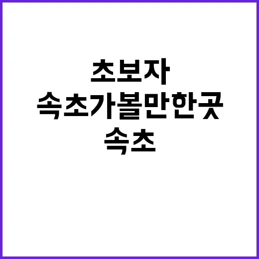 초보자를 위한 속초…