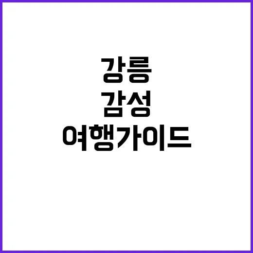 강릉에서 꼭 방문해…