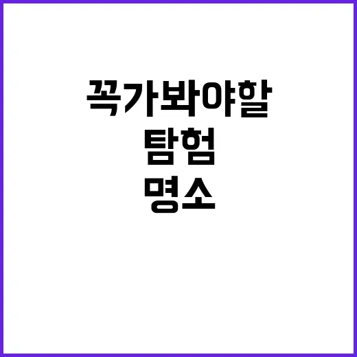 인천에서 꼭 가봐야…