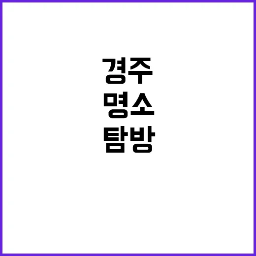 경주에서 꼭 방문해…