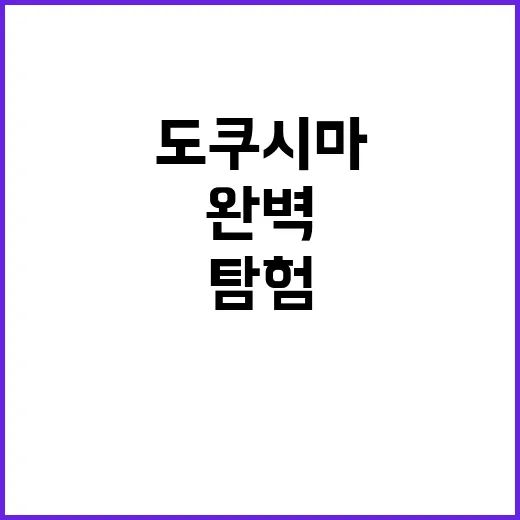 도쿠시마를 완벽하게 탐험하는 방법