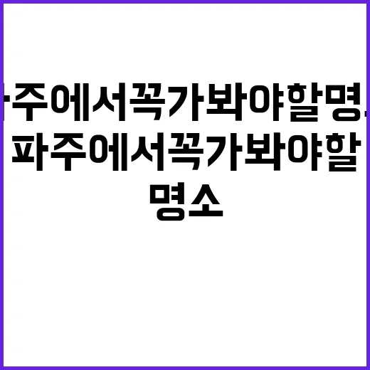 파주에서 꼭 가봐야…