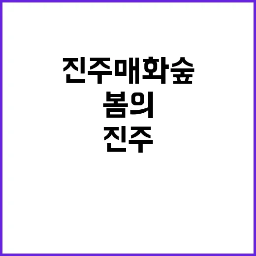 진주 매화숲에서 만나는 봄의 향연을 즐기는 방법