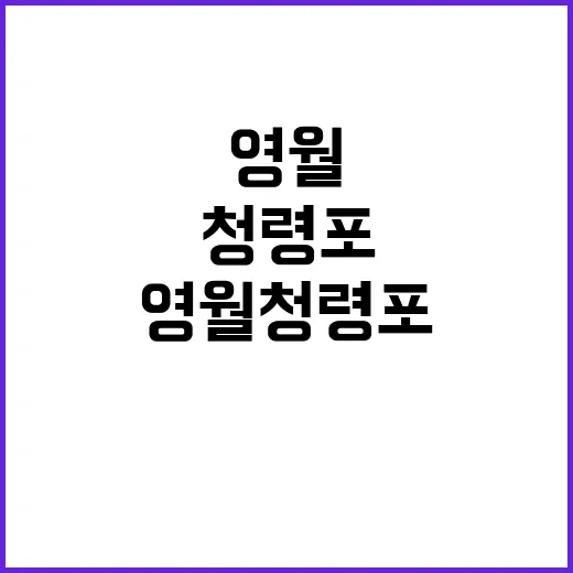 영월 청령포를 탐험…