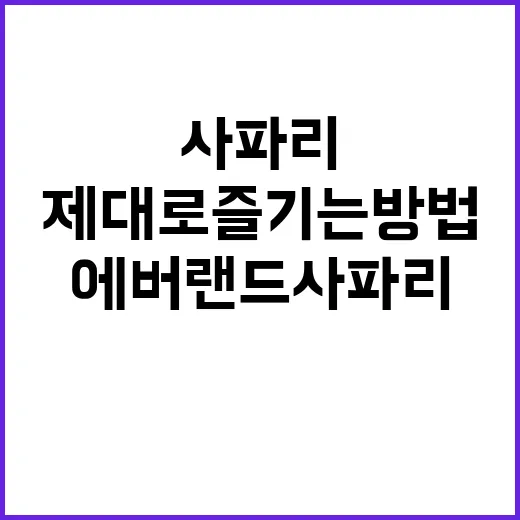 에버랜드 사파리 제…