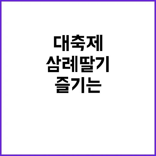 완주삼례딸기대축제를…