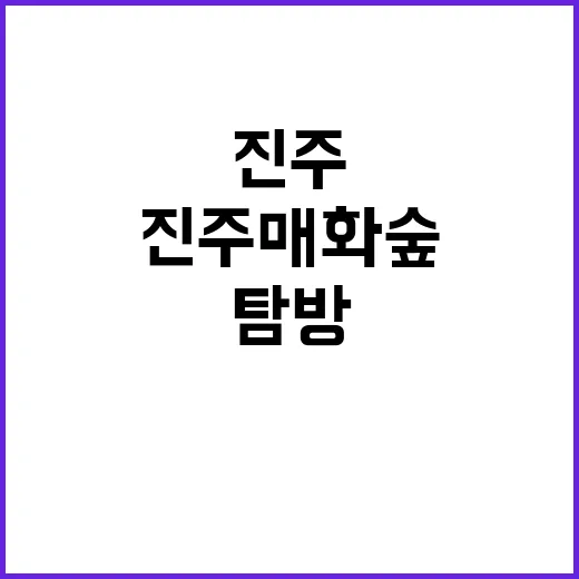 진주 매화숲을 탐방…