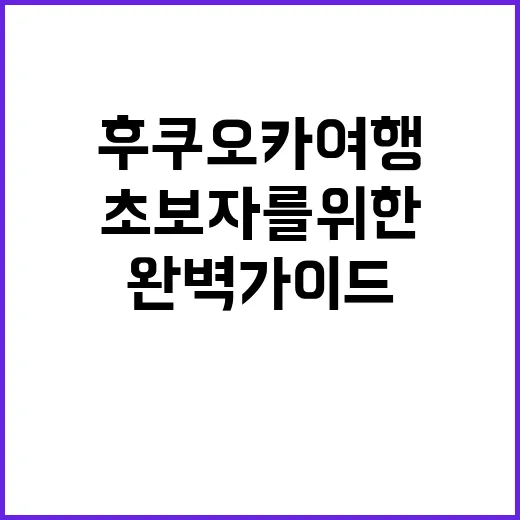초보자를 위한 후쿠오카 여행 완벽 가이드