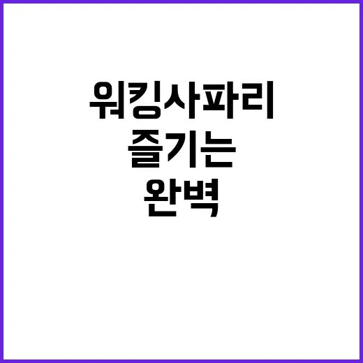 워킹사파리를 즐기는…